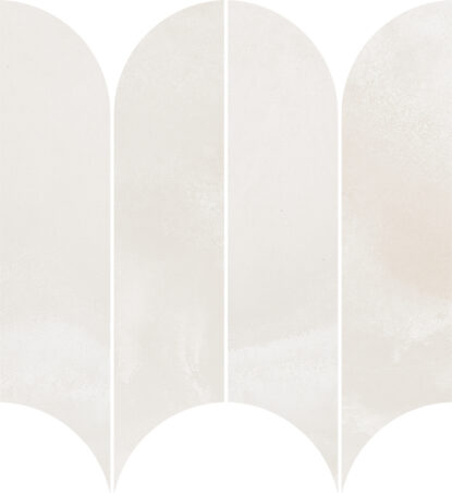 ragno incanto rdhe.jpg