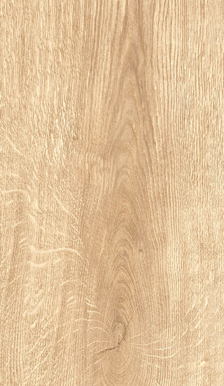 ragno inedito radl.jpg