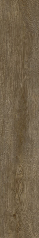 ragno inedito radr.jpg