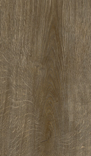 ragno inedito radr.jpg