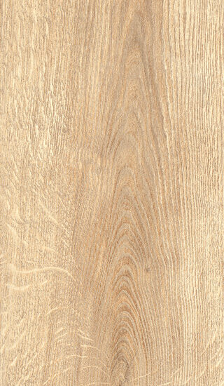 ragno inedito radt.jpg