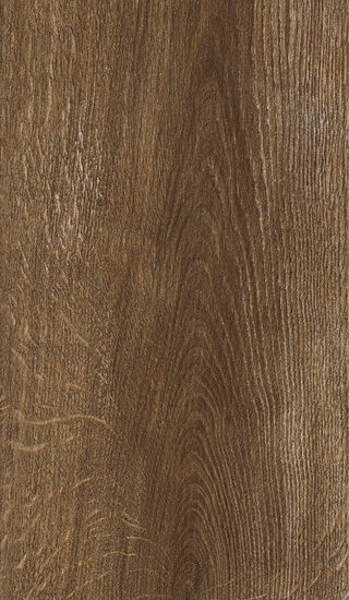 ragno inedito radx.jpg