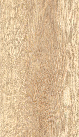 ragno inedito rae1.jpg