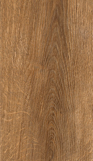 ragno inedito rae3.jpg