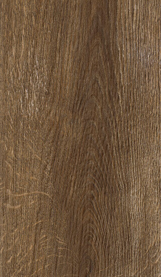 ragno inedito rae4.jpg