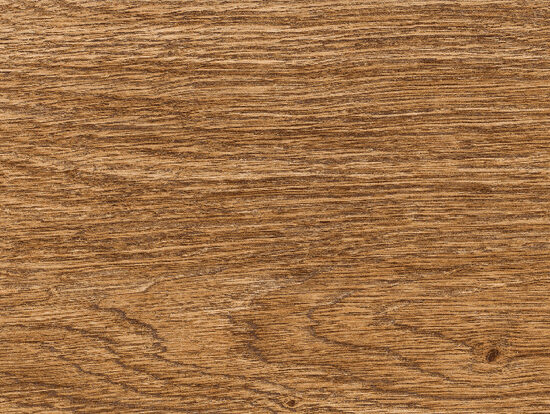 ragno inedito rc5g.jpg