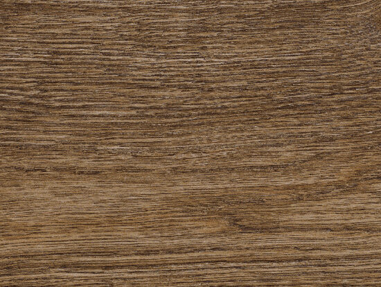 ragno inedito rc5h.jpg