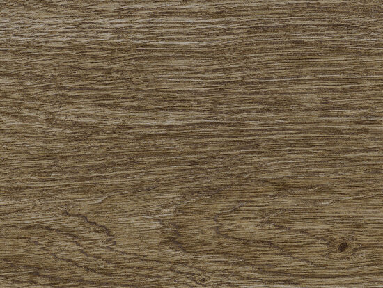 ragno inedito rc5j.jpg