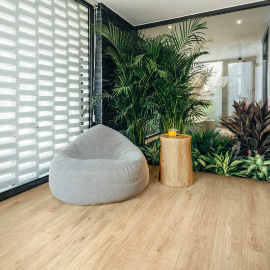 ragno inedito 002.jpg