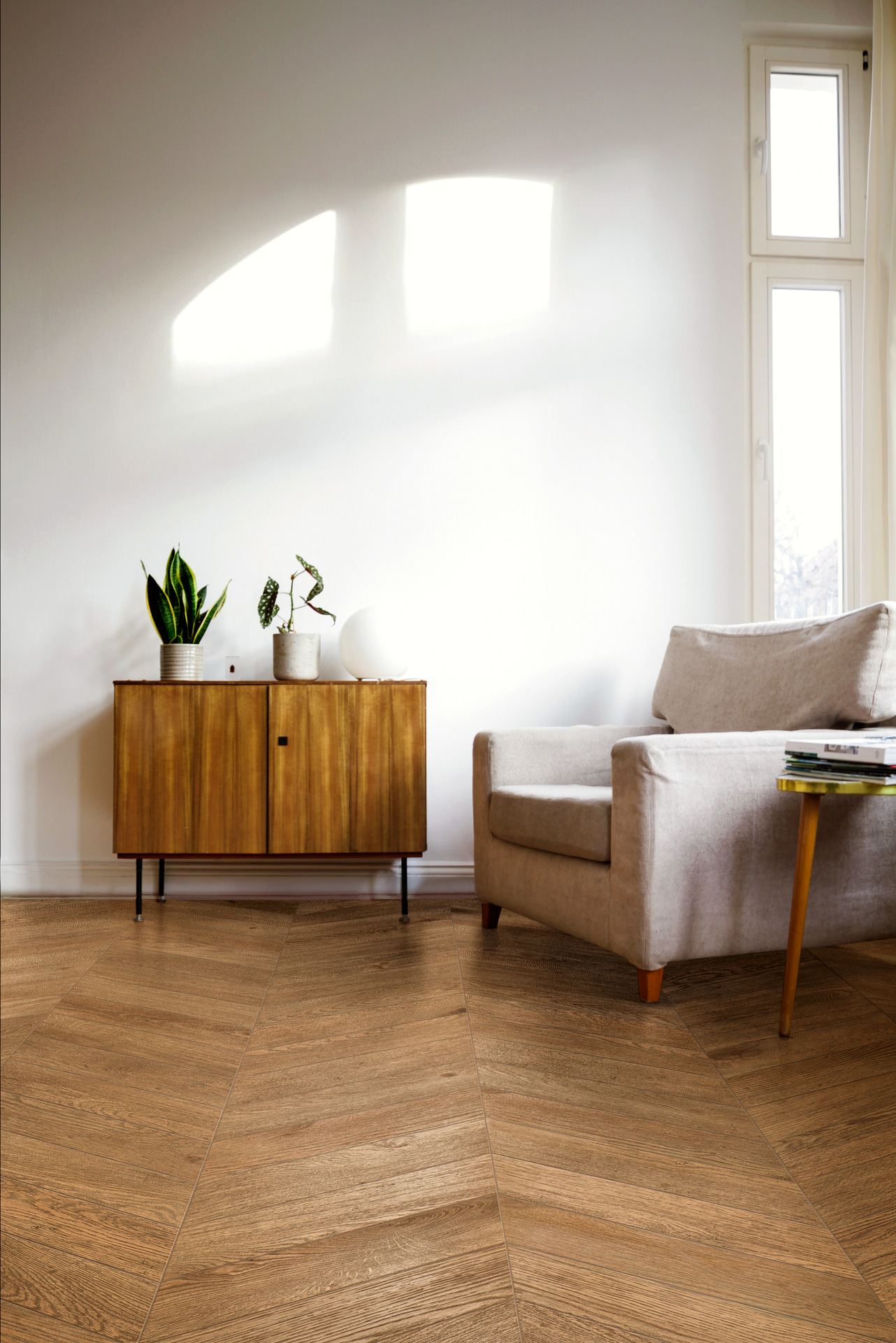 ragno inedito 005.jpg