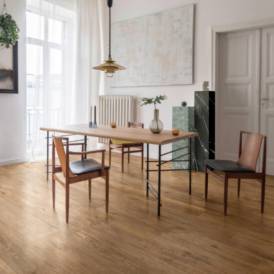 ragno inedito 008.jpg