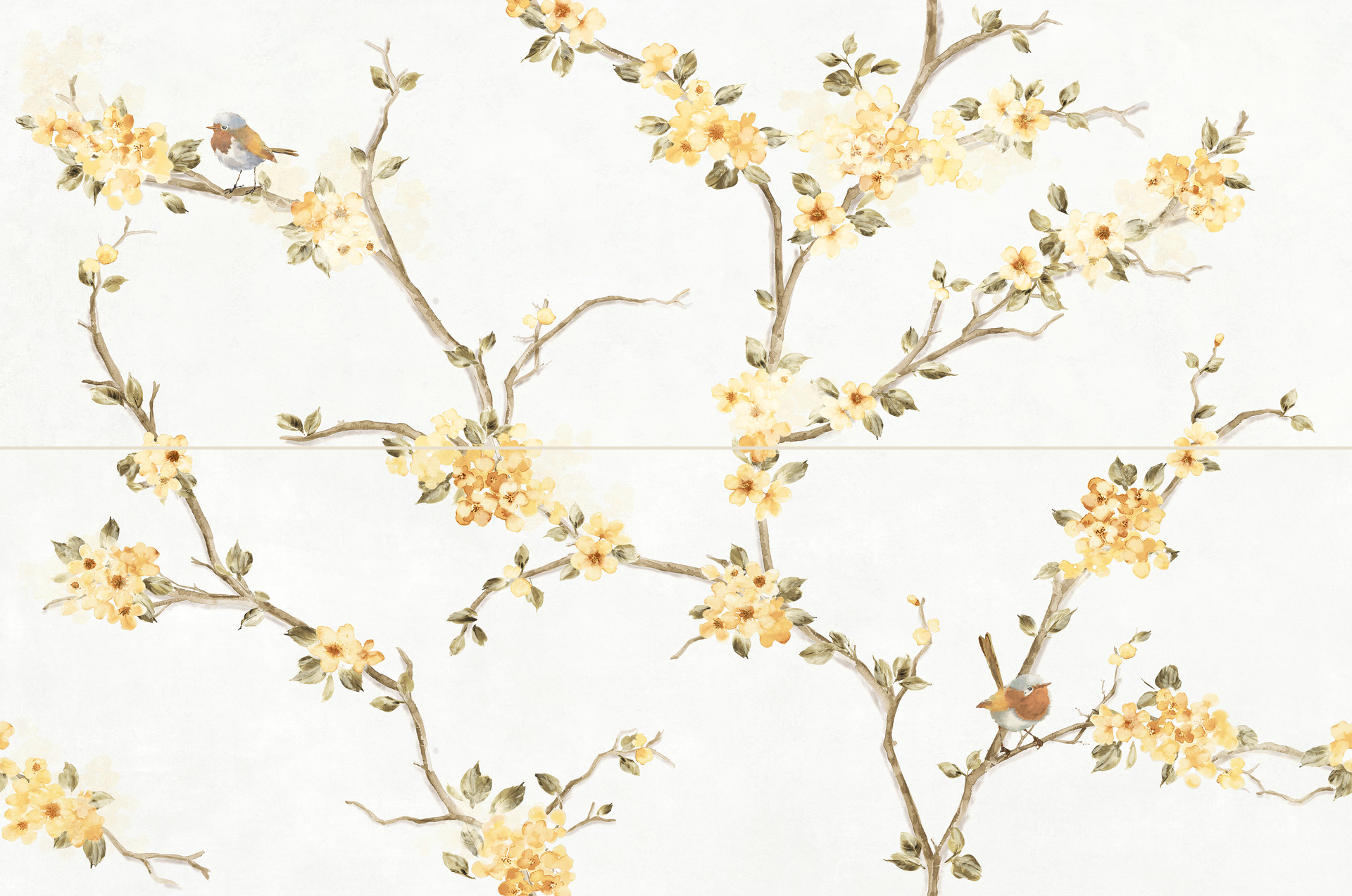 ragno mixed rc5n.jpg