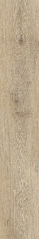 ragno ossimori r9rh.jpg