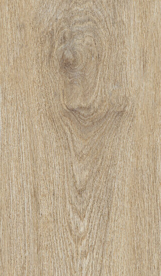 ragno ossimori r9rh.jpg