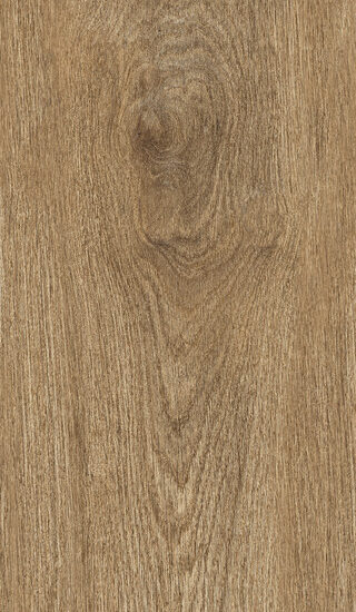 ragno ossimori r9rj.jpg