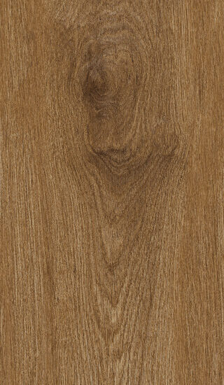 ragno ossimori r9rk.jpg