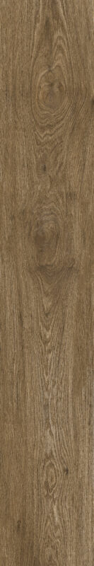 ragno ossimori r9rl.jpg