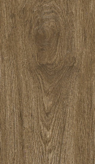 ragno ossimori r9rl.jpg