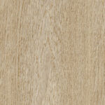 ragno ossimori r9rn.jpg