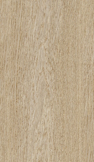 ragno ossimori r9rn.jpg