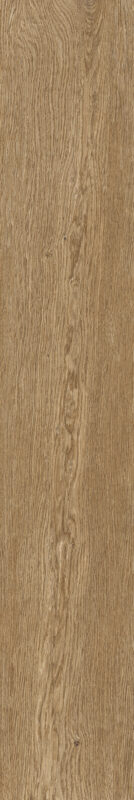 ragno ossimori r9rp.jpg