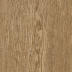 ragno ossimori r9rp.jpg