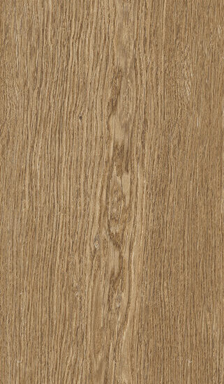 ragno ossimori r9rp.jpg