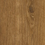 ragno ossimori r9rq.jpg