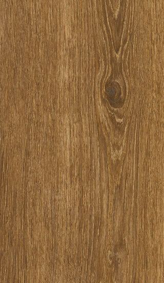 ragno ossimori r9rq.jpg