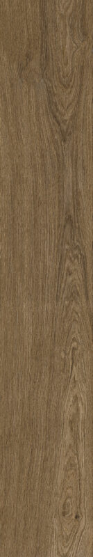 ragno ossimori r9rr.jpg