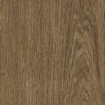 ragno ossimori r9rr.jpg