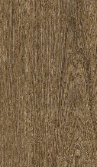 ragno ossimori r9rr.jpg