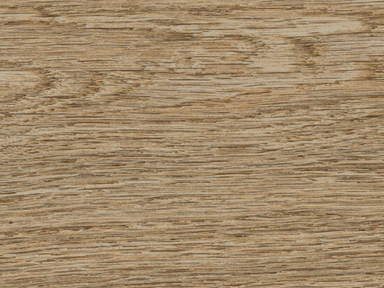 ragno ossimori r9sr.jpg