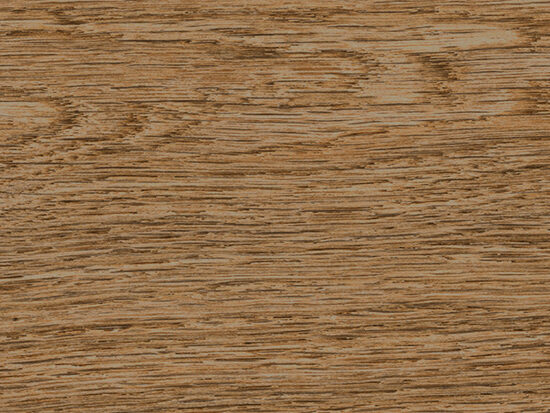 ragno ossimori r9ss.jpg