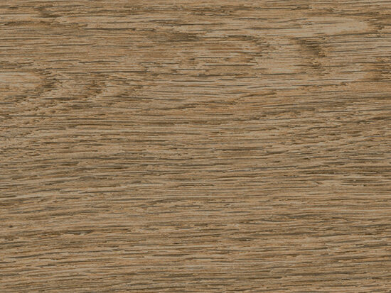 ragno ossimori r9st.jpg