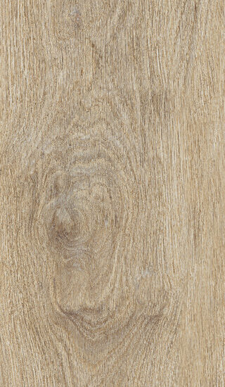 ragno ossimori r9ta.jpg