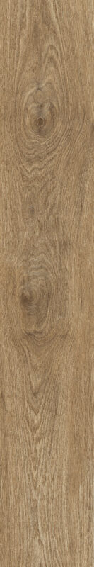 ragno ossimori r9tc.jpg