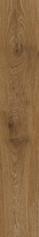 ragno ossimori r9td.jpg