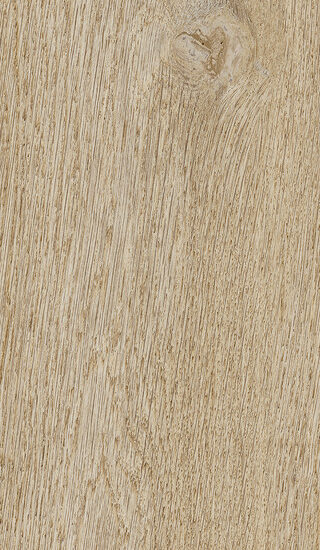 ragno ossimori r9tg.jpg