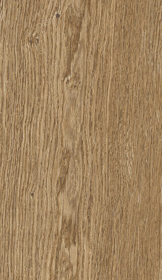 ragno ossimori r9th.jpg