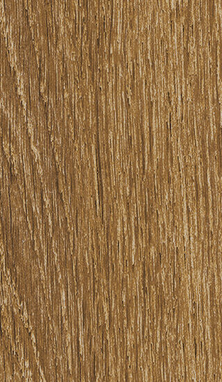 ragno ossimori r9tj.jpg