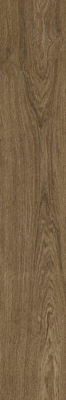 ragno ossimori r9tk.jpg