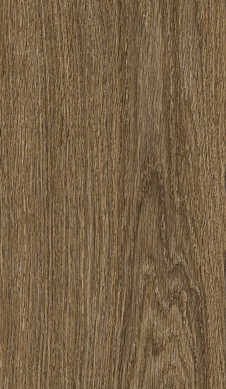 ragno ossimori r9tk.jpg