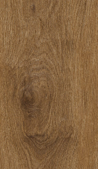 ragno ossimori r9vu.jpg