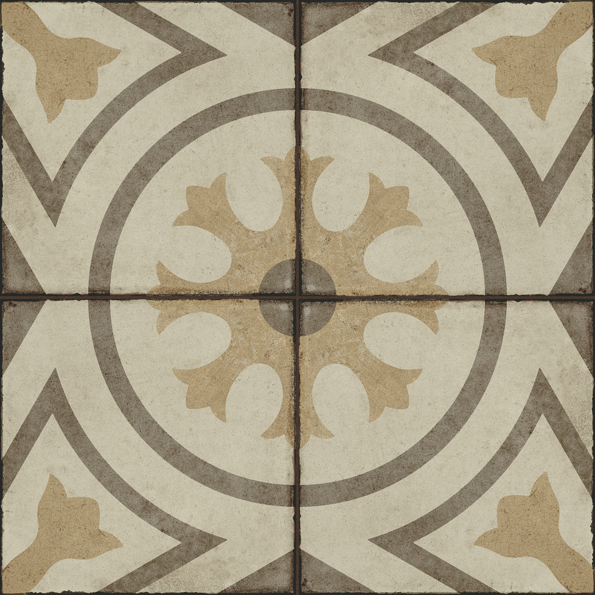 ragno ottocento r86v.jpg