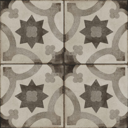 ragno ottocento r873.jpg