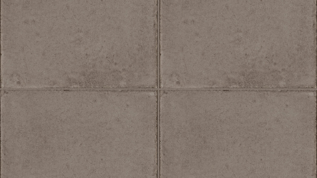 ragno ottocento rkmn.jpg