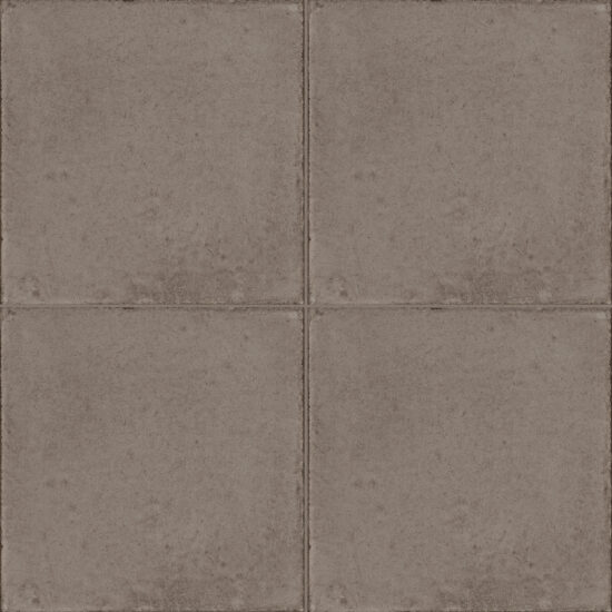 ragno ottocento rkmn.jpg