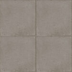 ragno ottocento rkmr.jpg