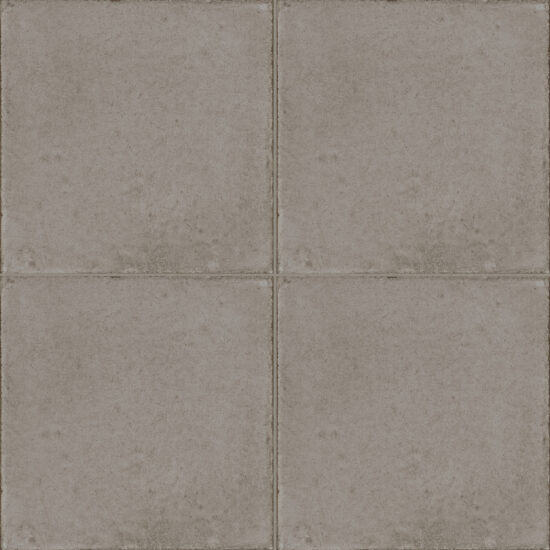 ragno ottocento rkmr.jpg